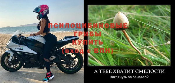 дмт Нязепетровск