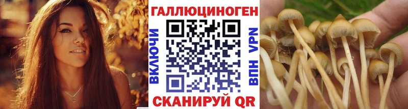 Псилоцибиновые грибы Psilocybine cubensis  магазин  наркотиков  Сорск 